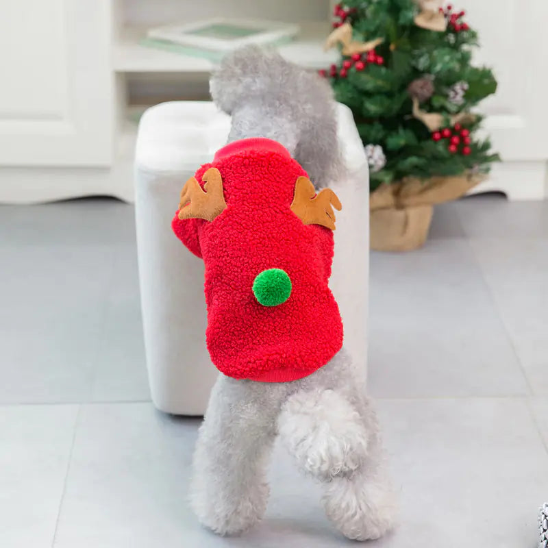 Christmas Pet Sweater
