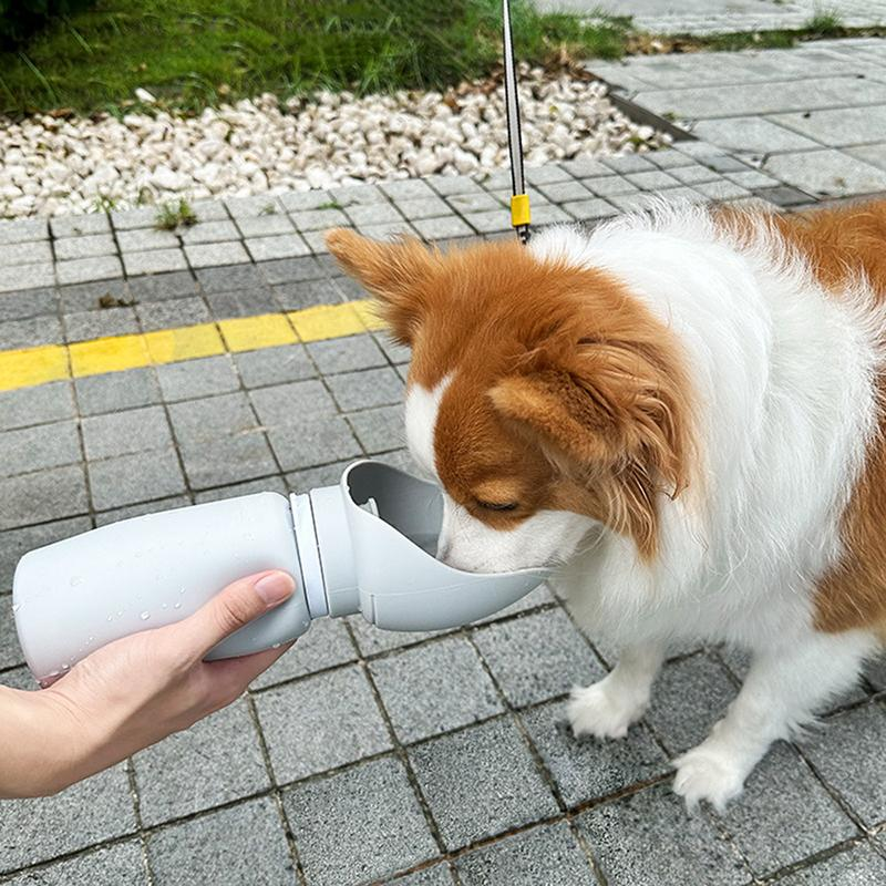 Foldable Pet Bottle