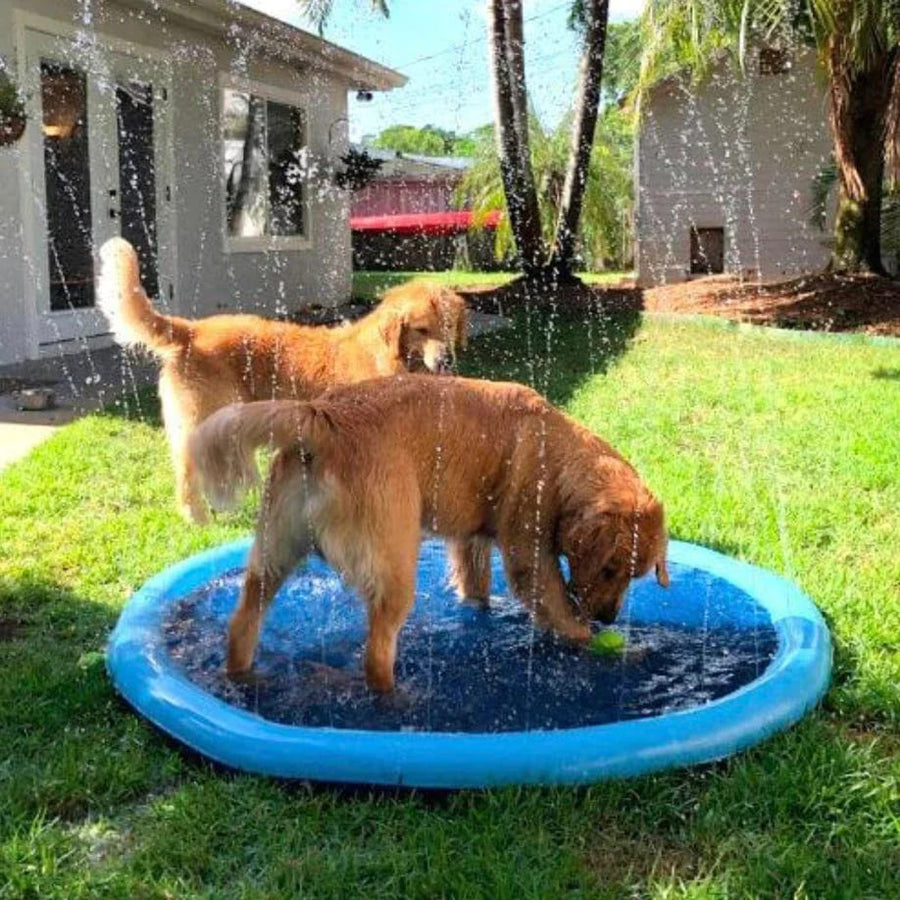 Pet Sprinkler Pad