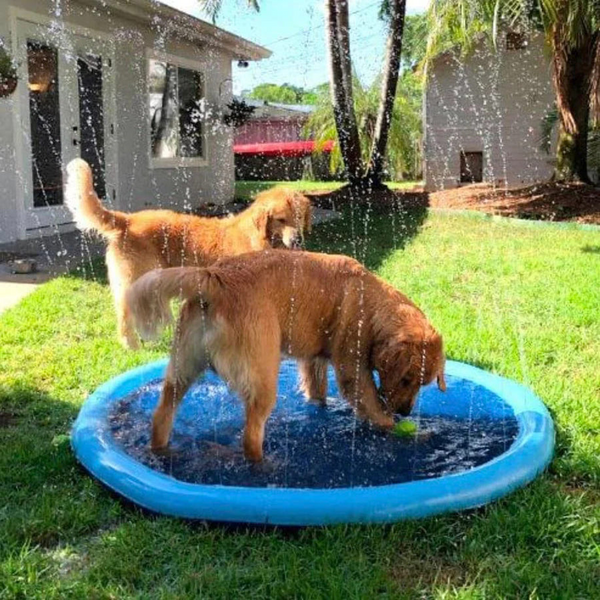 Pet Sprinkler Pad