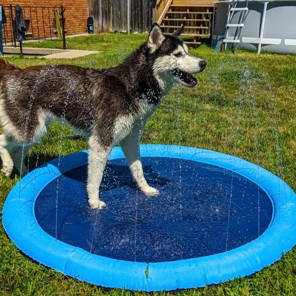 Pet Sprinkler Pad